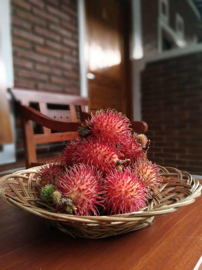 Genthong Homestay 마겔랑 외부 사진